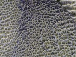 Foto-foto Close Up Planet Mars yang Orang Belum Lihat