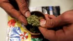 Melihat Kafe Jual Ganja di Wilayah yang Diduduki Israel