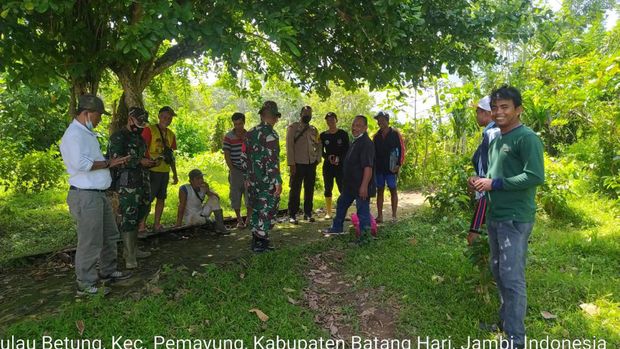 Penemuan jejak harimau di  Desa Lopak Aur, Kecamatan Pemayung, Batang Hari Jambi.