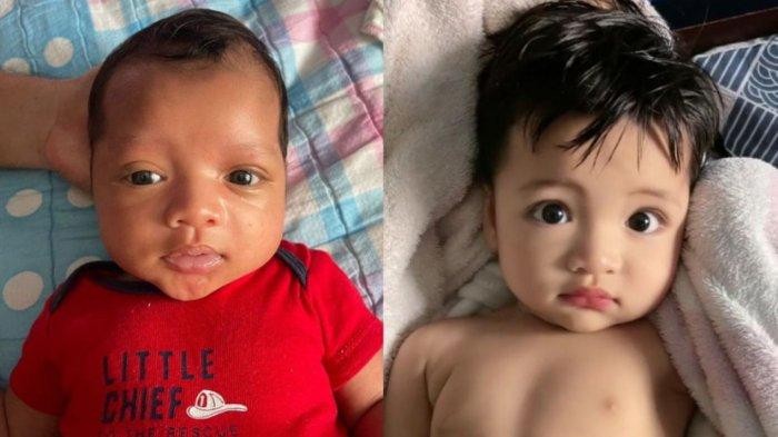 Bayi viral Transformasi bayi viral