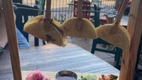 Taco khas Meksiko ini disajikan dengan cara dijepit di rak kayu. Tampilannya seperti pakaian yang sedang dijemur. Foto: Reddit