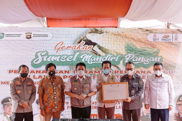Gandeng Polda, Pemprov Sumsel Tanam Jagung di Lahan Seluas 200 Hektare