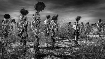 Jawara kategori Landscape: Vicente Ansola dari Spanyol. Foto: The World Photography Organisation