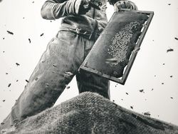 Memukau Mata! Ini Karya Jawara Kontes Foto Sony 2022