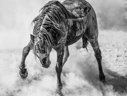 Memukau Mata! Ini Karya Jawara Kontes Foto Sony 2022