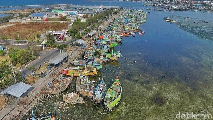 nelayan lamongan