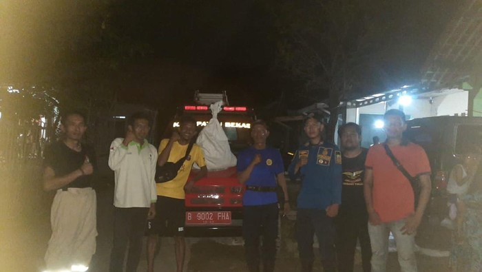 Petugas Damkar Evakuasi Sarang Tawon di Bekasi
