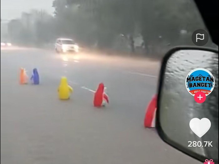pinguin viral di magetan