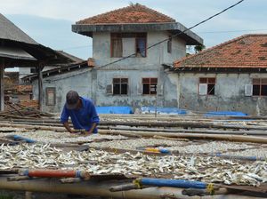 Nelayan Lampung Bersyukur Kini PLN Operasikan Gardu di Pulau Pasaran