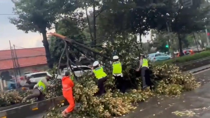 Polisi evakuasi pohon tumbang (instagram @tmcpoldametro)