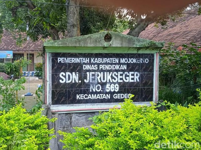 sdn jeruk seger mojokerto