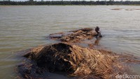 Menurut Badan Penanggulangan Bencana Daerah (BPBD) Kabupaten Purworejo, wilayah terdampak banjir mencakup 32 desa di 7 kecamatan. Sedangkan wilayah yang terdampak longsor ada 6 desa di 4 kecamatan.