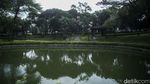 30% RTH di Jakarta Bakal Ditanami Tanaman Hortikultura