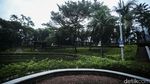 30% RTH di Jakarta Bakal Ditanami Tanaman Hortikultura