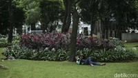 Kepala Dinas Ketahanan Pangan, Kelautan, dan Pertanian DKI Jakarta Suharini Eliawati menjelaskan manfaat dari aktivitas pertanian perkotaan. Selain produksi oksigen di Jakarta semakin tinggi, lingkungan hidup semakin lebih baik.