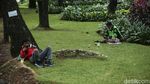 30% RTH di Jakarta Bakal Ditanami Tanaman Hortikultura