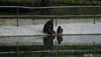 Banyak juga warga yang datang ke taman ini dengan mengajak anaknya.