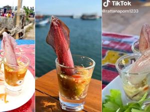 5 Berita tentang Cumi yang Viral dan Bikin Heboh Dunia Maya
