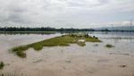 Banyumas Terendam Banjir, Begini Kondisinya
