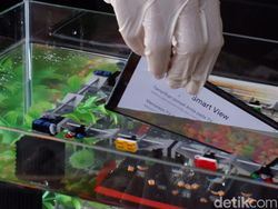 Wujud Galaxy A53, HP 5G Anyar Samsung Harga Rp 6 Juta