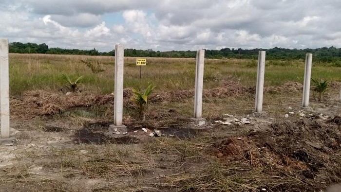 Gegara Oknum Mafia Tanah, Dua Perusahaan di Babel Dirugikan PT Babel Cita Mandiri (BCM) dan PT Sumber Mas Pratama (SMP) mengalami kerugian lahan seluas 35,7 hektar yang ada di Desa Air Anyir, Kabupaten Bangka, Provinsi Kepulauan Bangka Belitung, akibat oknum mafia tanah. Gimana aparat bertindak?