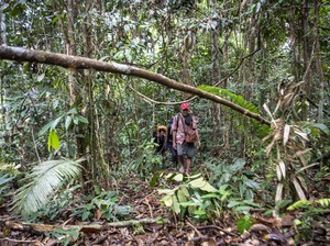 Makhluk Mitologi Orang Pendek di Sumatera Kemungkinan Benar Ada
