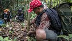 Jalan Tobat Sang Pemburu Harimau