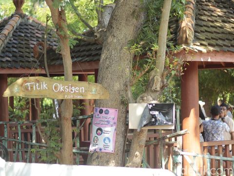 Gili Iyang disebut sebagai tempat dengan oksigen terbaik kedua di dunia. Wow, sungguh baik buat kesehatan bukan?