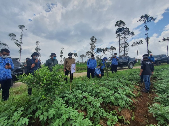 Jelang Ramadhan, Bupati Garut Jamin Pasokan Sayur-Sayuran Aman