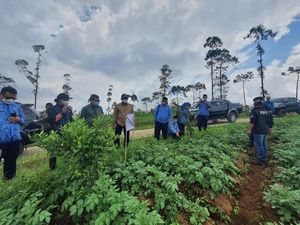 Jelang Ramadhan, Bupati Garut Jamin Pasokan Kentang-Cabai Aman