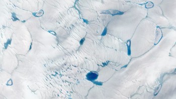 Pada gambar di atas, seperti yang terlihat oleh satelit Landsat 8 pada tahun 2018, garis-garis hijau dan bintik-bintik biru menghiasi putih es Greenland. Lukisan percikan ini adalah tanda pencairan awal yang tidak sesuai musim. Saat kolam air lelehan terbentuk di permukaan es, mereka membuat es menyerap lebih banyak panas, dan itu hanya mendorong lebih banyak pencairan. Foto: NASA