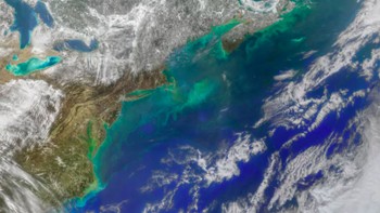 Perubahan iklim membuat Arus Atlantik atau Arus Teluk melemah. Arus Teluk sangat penting karena mengirimkan air hangat dari Karibia, ke Pantai Timur Amerika Utara dan melintasi laut ke Eropa, untuk menjaga iklim Eropa relatif ringan untuk garis lintangnya yang tinggi. Dari mempelajari data historis, para ilmuwan sekarang berpikir bahwa Arus Teluk berada pada saat terlemahnya dalam 1.600 tahun. Foto: NASA