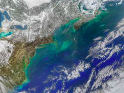 Tanda-tanda Kehancuran Bumi Dilihat dari Foto Satelit