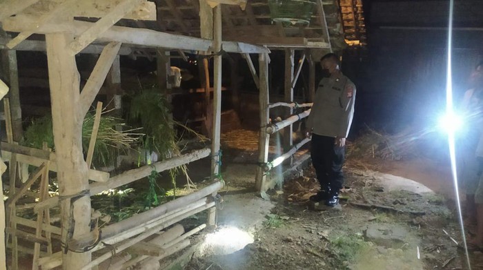 Polisi memeriksa kandang yang menjadi lokasi pencurian kambing di Gunungkidul, Jummat (18/3/2022).