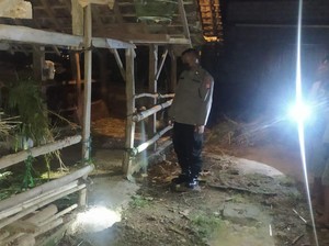 Jualan Tanpa Modal, Pedagang Ternak Gunungkidul Tertangkap Curi Kambing