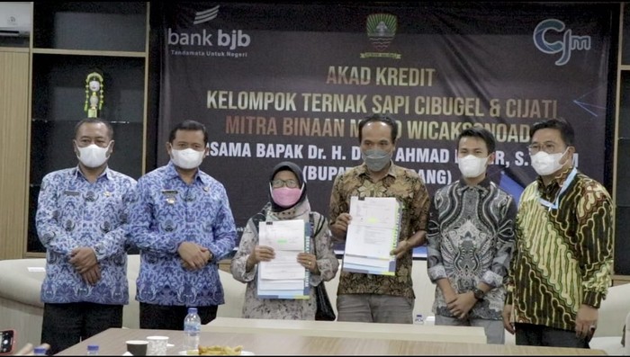 Peternak Sapi Dapat KUR