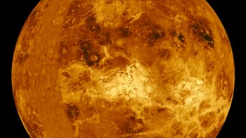 Foto Venus ini diambil dari periode waktu yang sudah sangat lama, yaitu tahun. Bintik-bintik gelap di seluruh planet ini adalah dampak meteorit, dan bagian cahaya besar tepat di tengahnya adalah Ovda Regio, pegunungan yang sangat besar. Foto: NASA/JPL