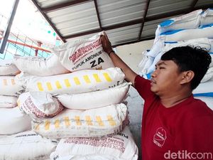 Petani Pinrang Dipaksa Beli Pupuk Non Subsidi, Tindakan Tegas Pemkab Dinanti