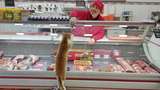Tukang Daging Ini Viral karena Suka Beri Hadiah Daging ke Kucing Jalanan