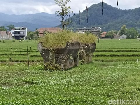 Bekas konstruksi jembatan kereta api di area persawahan Kelurahan Sumbergedong, Trenggalek