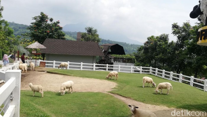 Kawasan Prigen, Kabupaten Pasuruan selama ini dikenal dengan panorama alam yang memukau. Kawasan yang berada di kaki Gunung Arjuno ini potensinya besar sebagai tempat wisata.