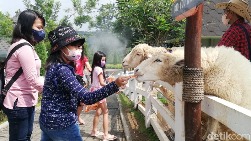 Kawasan Prigen, Kabupaten Pasuruan selama ini dikenal dengan panorama alam yang memukau. Kawasan yang berada di kaki Gunung Arjuno ini potensinya besar sebagai tempat wisata.
