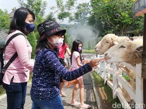 Cimory Dairyland Prigen: Harga Tiket, Wahana dan Jam Buka