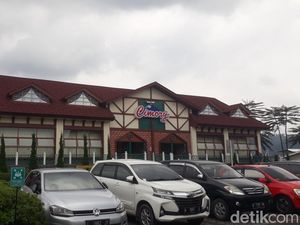 Menikmati Taman Kincir Angin hingga Main Bareng Satwa di Cimory Prigen