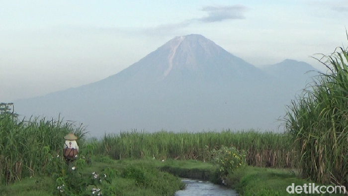 Gunung Semeru menyemburkan awan panas sejauh 3,5 km. Awan panas itu mengarah ke Curah Kobokan dan Curah Lengkong.