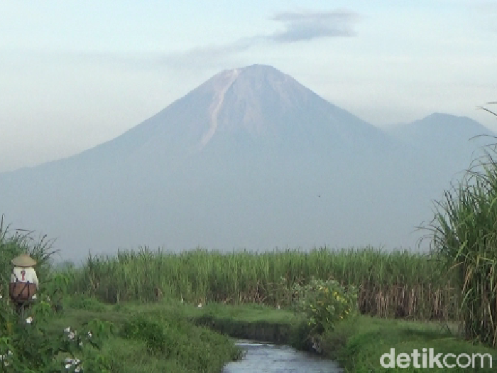 Gunung Semeru menyemburkan awan panas sejauh 3,5 km. Awan panas itu mengarah ke Curah Kobokan dan Curah Lengkong.
