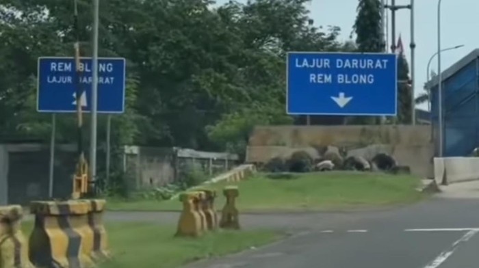 Lajur darurat Tol Ciawi, Bogor