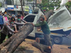 BMKG Sebut Angin Kencang di Sidoarjo 80 Km/Jam Sehingga Banyak Pohon Tumbang