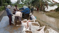 Petani merontokkan padi yang terpaksa dipanen akibat terendam banjir di Desa Nusadadi, Sumpiuh, Banyumas, Jateng, Jumat (18/22/2022).   