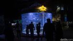 Serunya Habiskan Akhir Pekan di Sea World Ancol